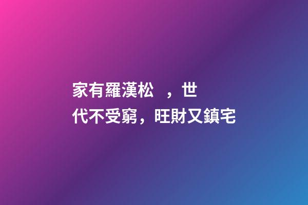 家有羅漢松，世代不受窮，旺財又鎮宅